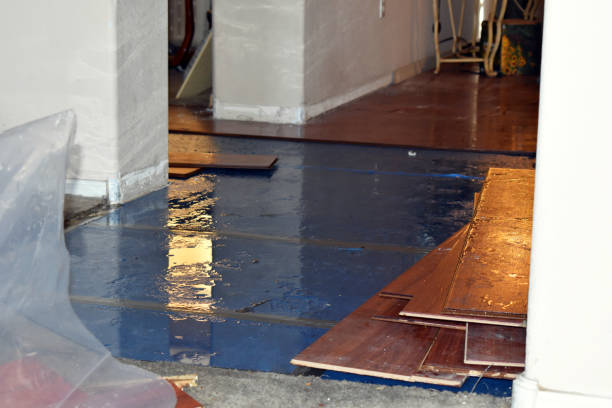 Professional Basement Water Removal technician working in Rheems, PA